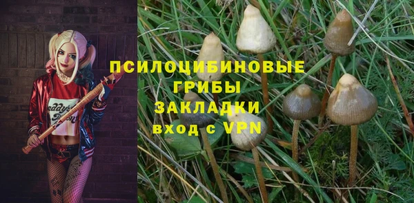 дурь Алзамай