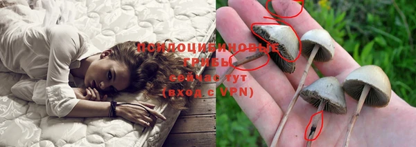 дурь Алзамай